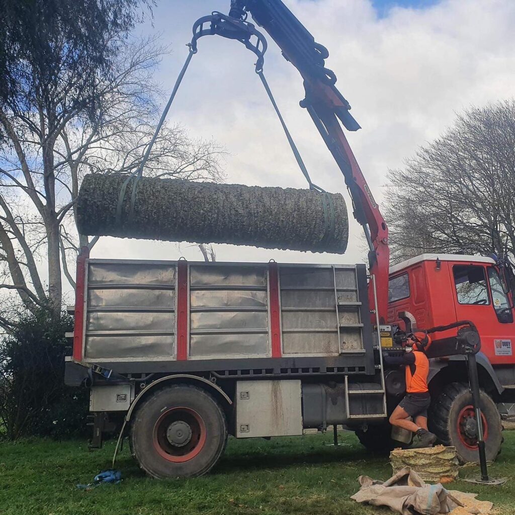 Hiab lifting 2-tonne tree trunk