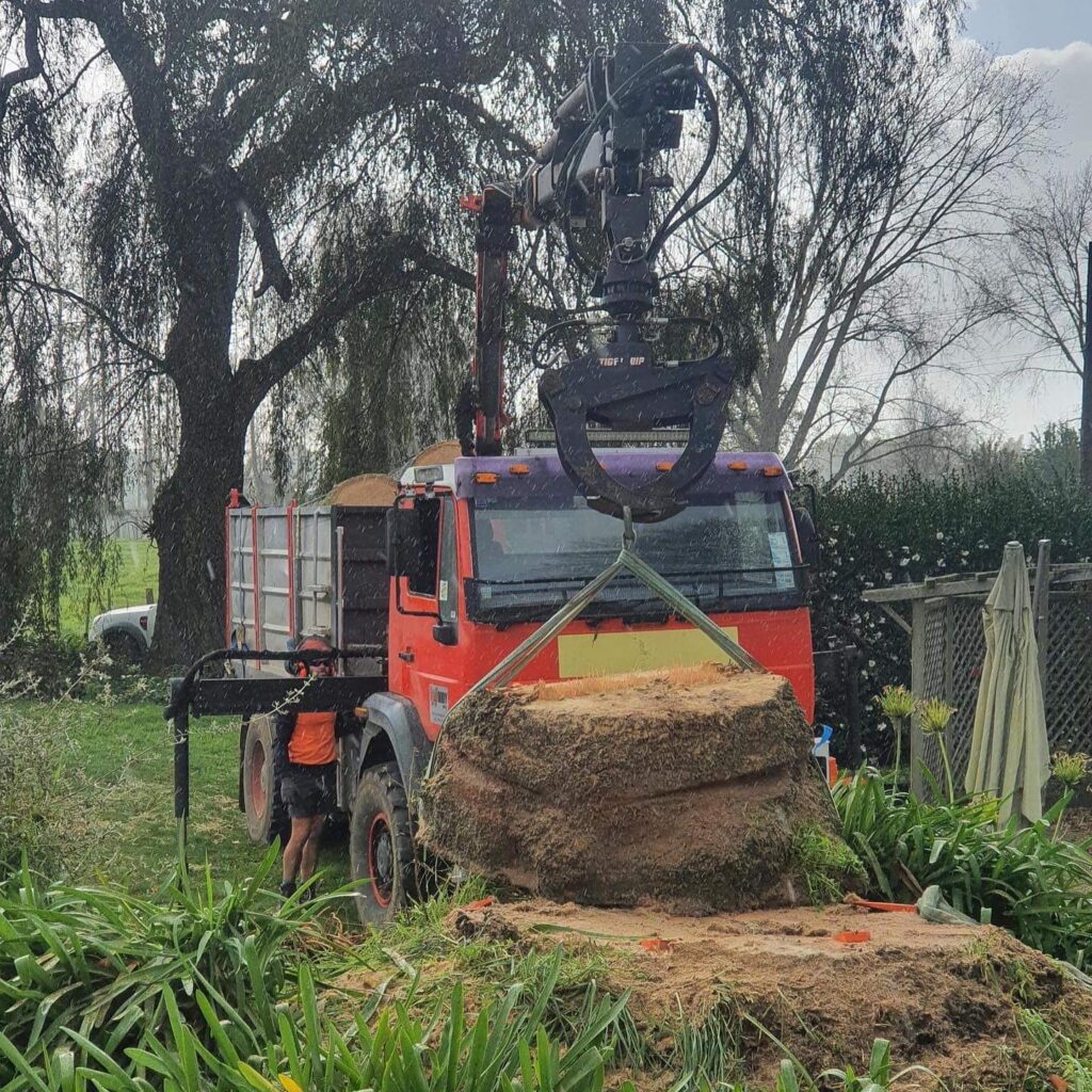 Custom firewood truck with hiab and grapple cleaning up tree rings